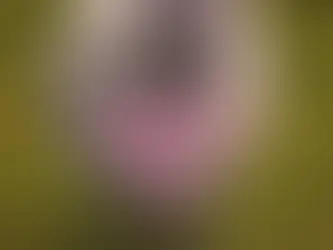 O que é posicionamento de marca (e por que ele muda tudo)