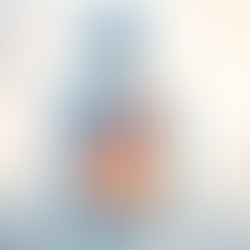 A picture of the internal organs of the human body