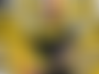 Blair to coach colts