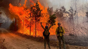 wildland fire, wildfire, wildfire services