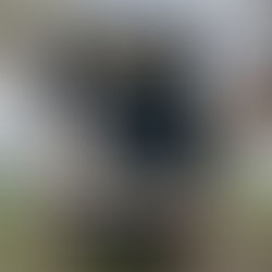 Rostocker Charity Club e.V. spendiert neue Küche