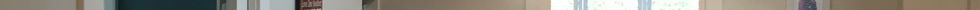 Willoughby Interior Painting