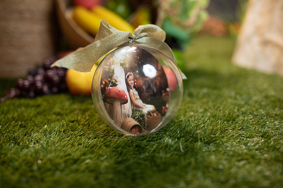 Bolas Navidad: 5€ 10€ y15€ + iva