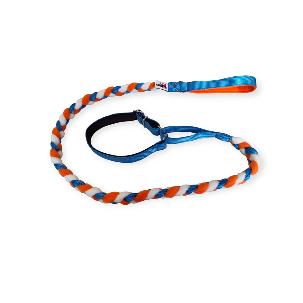 Thumbnail: Braidy Leash