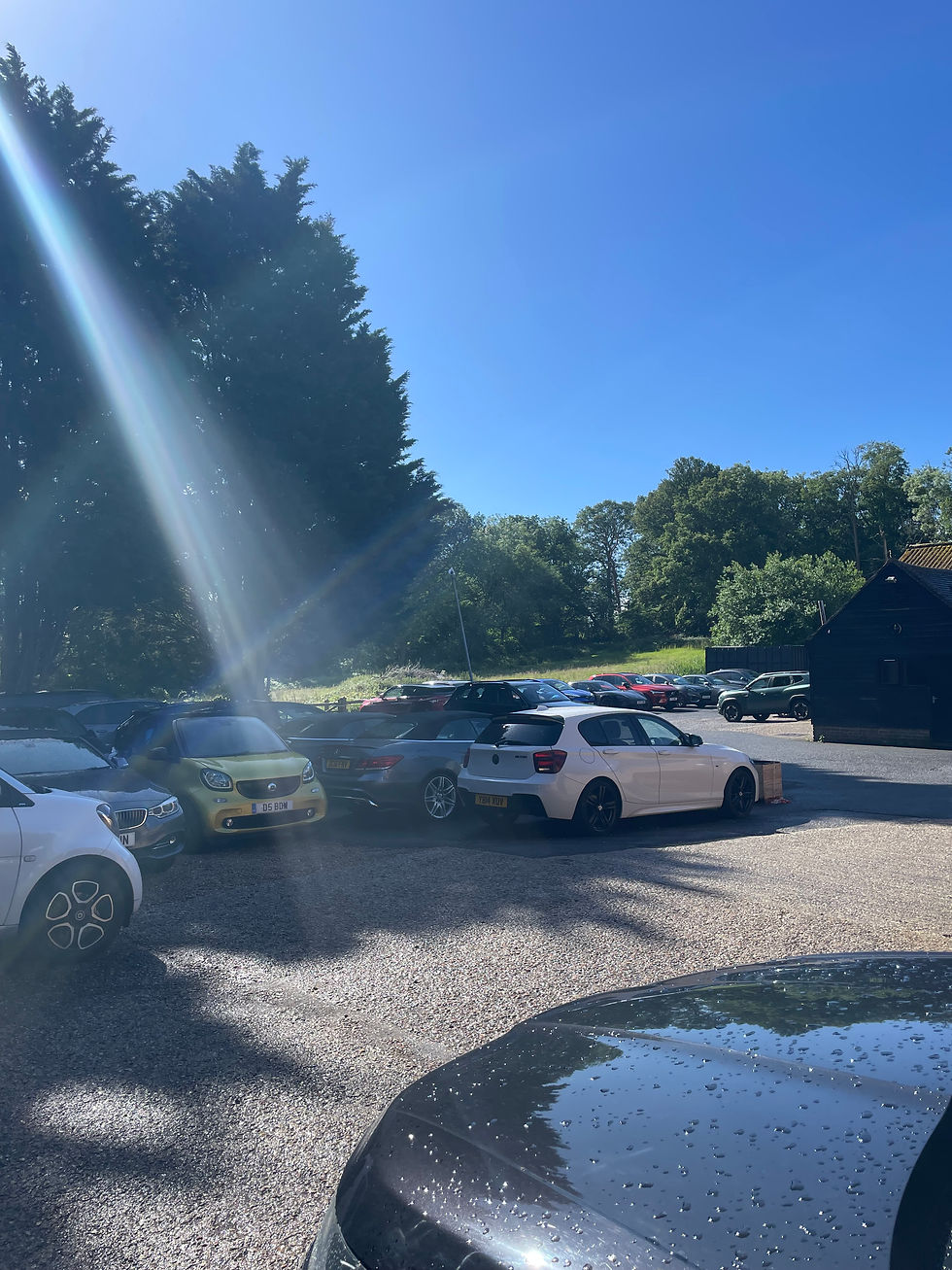Cars parked in a sunny outdoor lot with trees