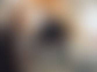 How to Prepare for a Road Trip