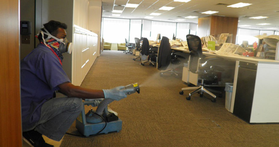 commercial-pest-control-services-1537435898-3422625.jpeg