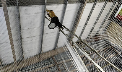 industrial-bird-netting-service.png