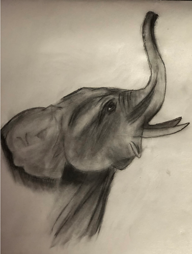 Screenshot 2025-05-19 at 11.13.16 PM.png