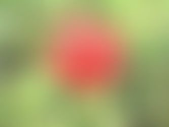 礼拝説教要旨(2022.08.07)