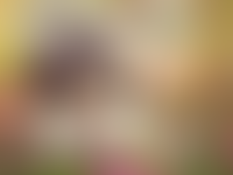 สุนัขสายพันธุ์ชิสุ อาหาร วิธีเลี้ยง [พร้อมราคา]
