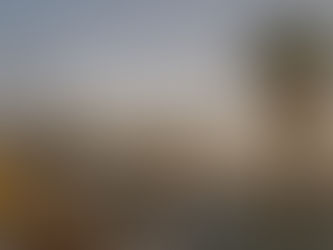 Wrapping Up the Year: A Few Reflections on Filmmaking in Portugal