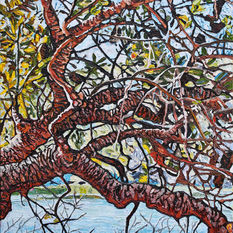Sunlit Banksia Bantry Bay