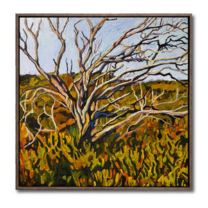 Banksia Manly Headland I