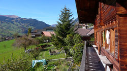 Terrasse Chalet Bärbluescht