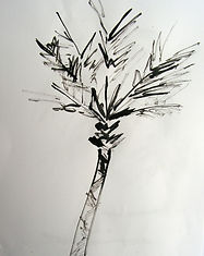 PICT0018.jpg