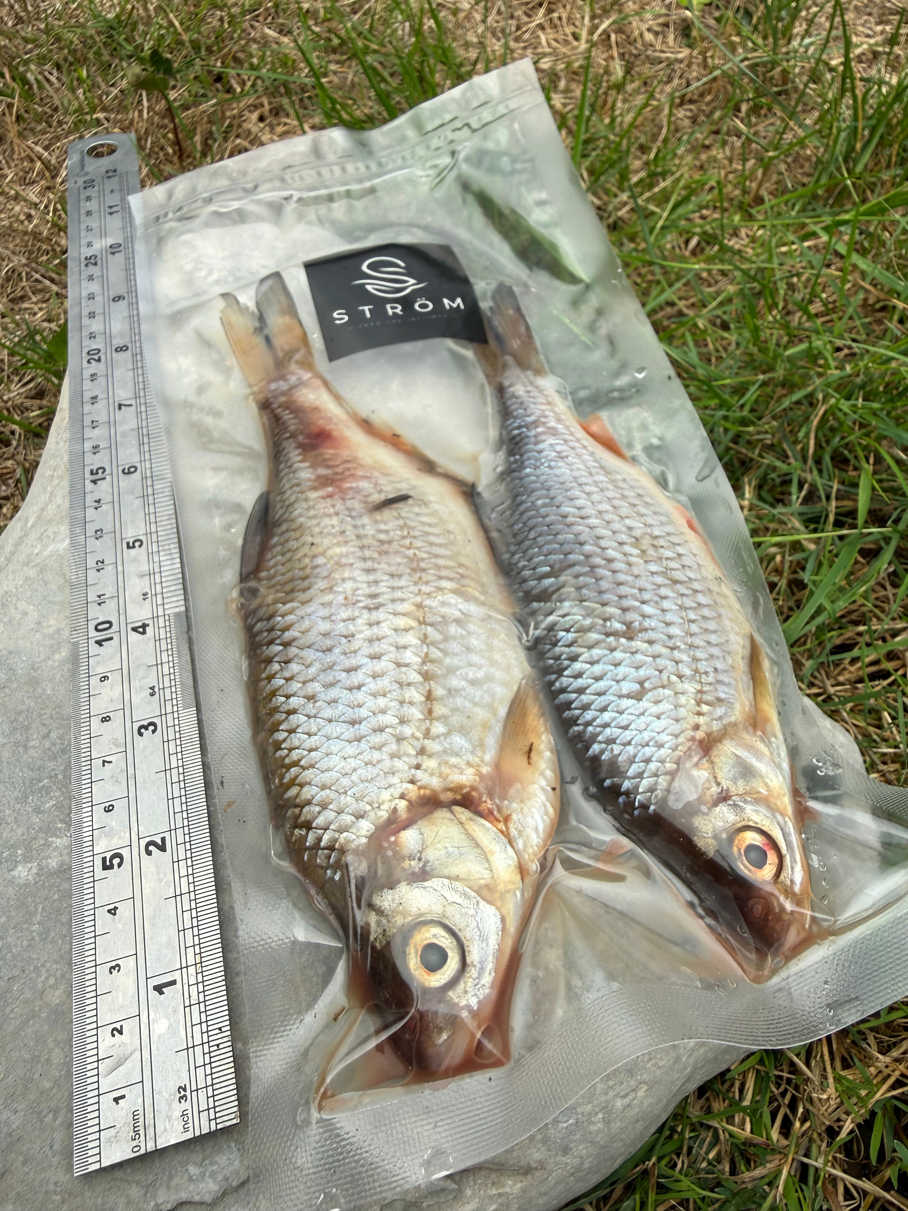 Large Roach (2 per pack)