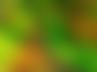 23. Navigating Life: The Personal Moral Compass and William Search's Insights