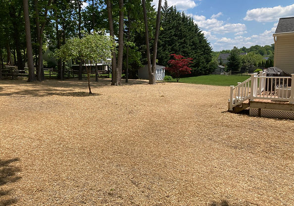 Lawn Care, Lawn Maintenance, Lawn Mowing, Landscaping, Landscapers, Oconomowoc, Wisconsin