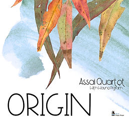Assai Quartet album cover with logo.jpg