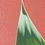 Thumbnail: 'Agave I' acrylic glass print
