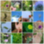 בלוג מקצועי