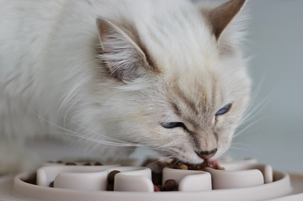 Thumbnail: Silicone slow feeder