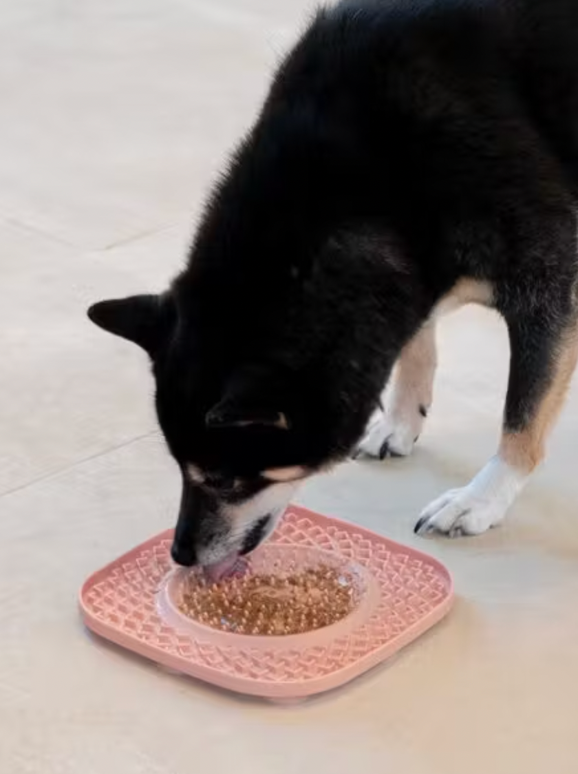 Thumbnail: Licky Mat Yoom Y Plate