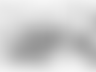 First Lady, Presidential