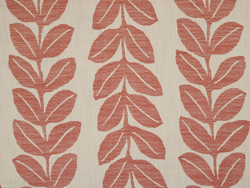 Morning Glory in Coral