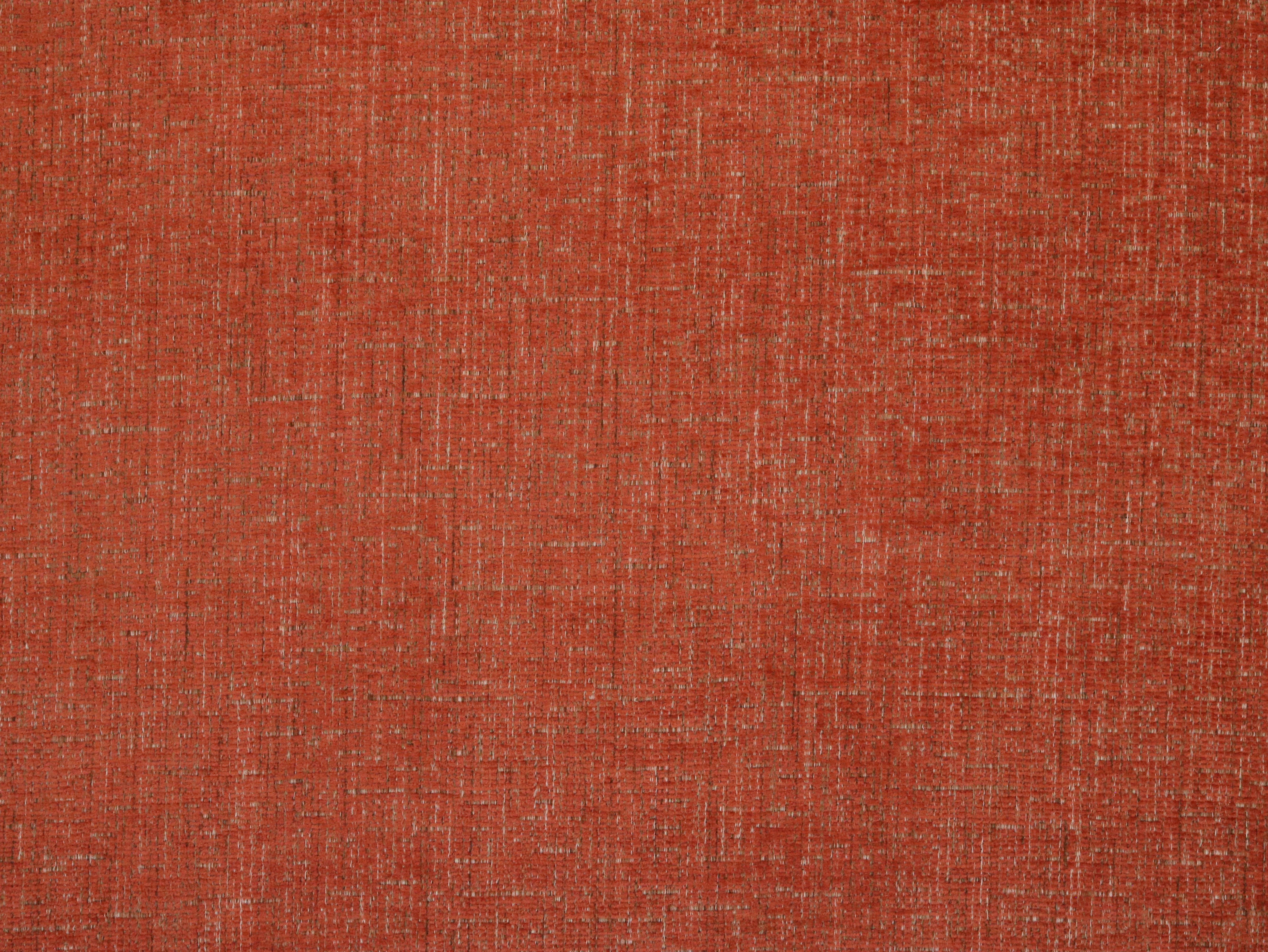 Fluff Daddy in Persimmon