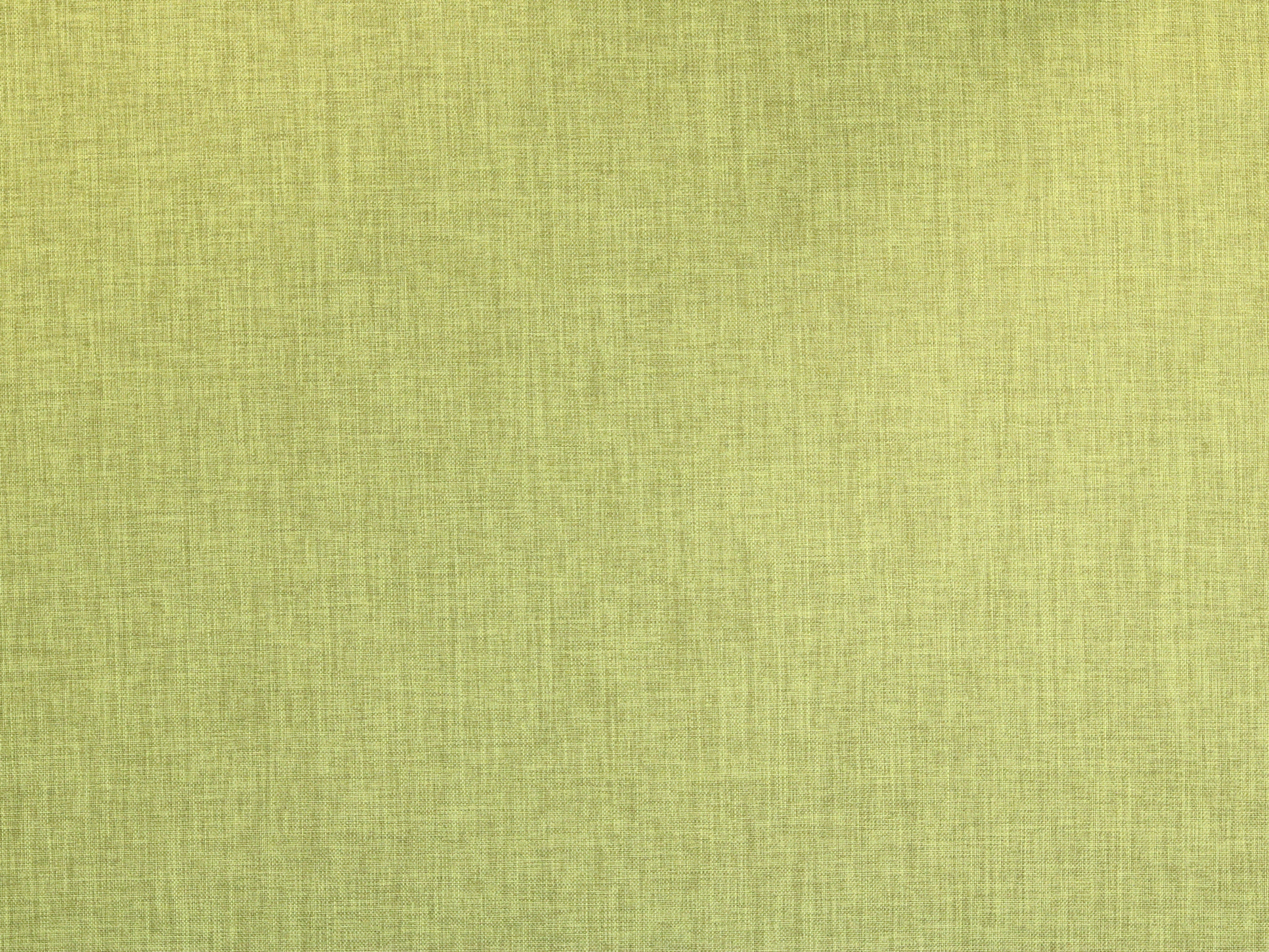 Oscar in Kiwi