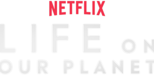 loop_logo_text_alpha_1024x480.png