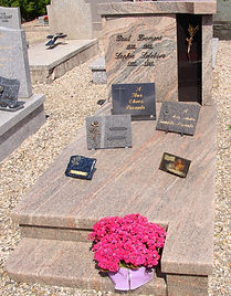 FROMENT-LEFEVRE D3-03.JPG