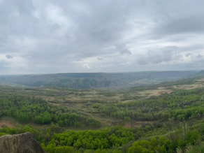 Monday Meditation: THANK YOU