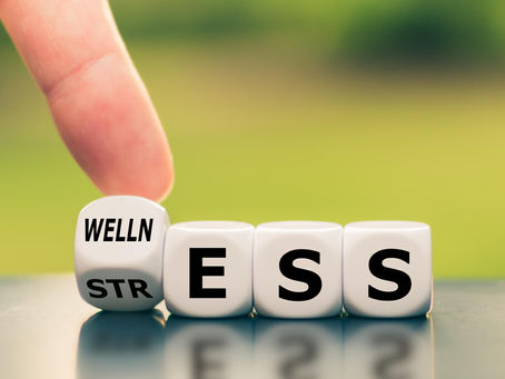 The Connection Between Diet And Stress Resilience