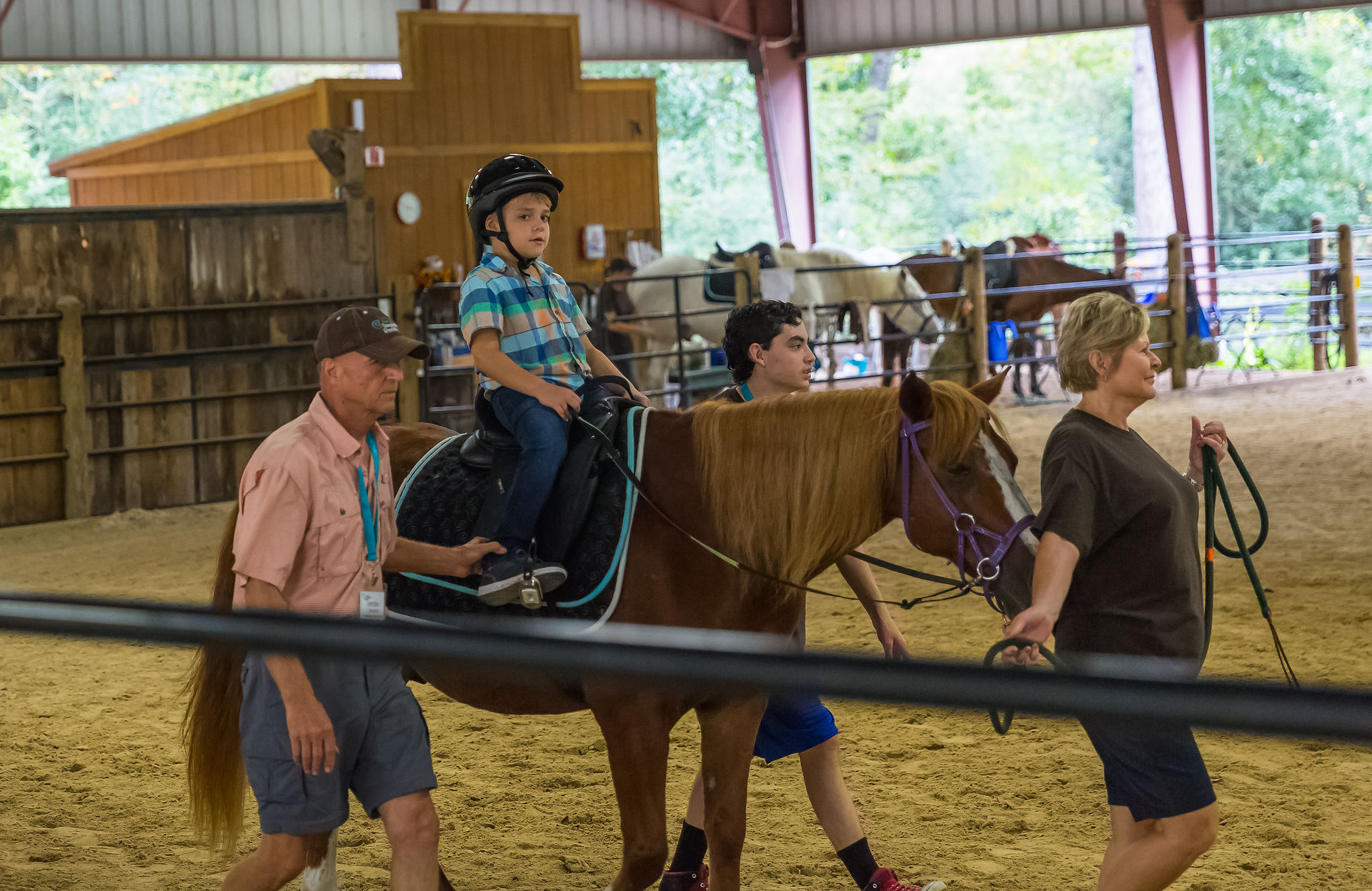 Winter Horse Show