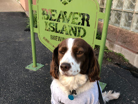 Homegrown 5k and Beaver Island Brewing