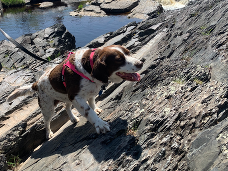 Celebrating My 6th Birthday in Duluth on Memorial Day Weekend