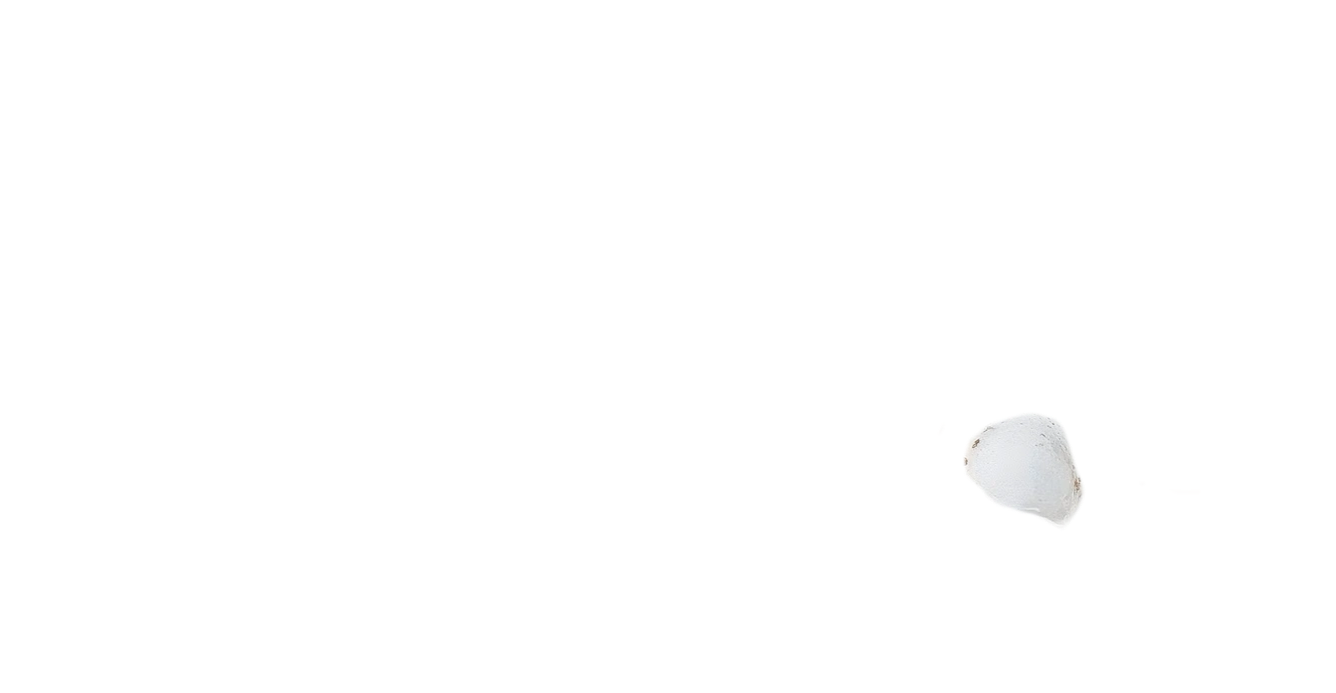 gelo6.webp