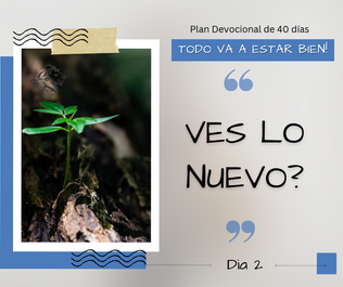 Dia 2: Ves lo nuevo?