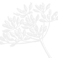 Edited Image 2015-8-2-18_10_18_edited_ed