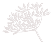 Edited Image 2015-8-2-18_10_18_edited_ed