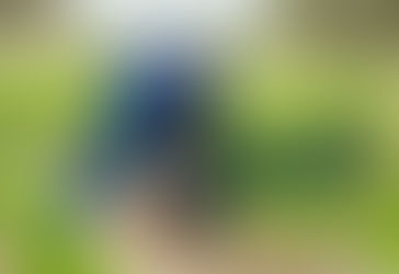 Embracing Ethical Supply Chains