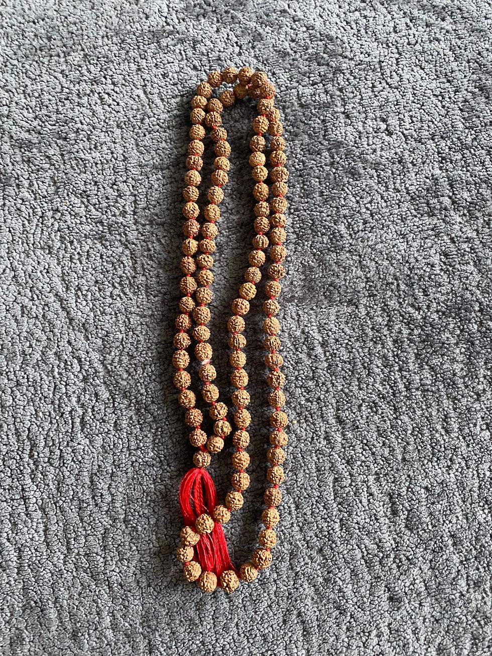 5 mukhi Rudraksha jaapmala