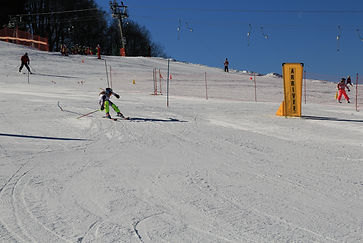 Ski slalom