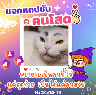 แคปชั่นคนโสด 💋😆✨💜💜 ..และขอแนะนำกำไลเสริมดวงจี้ไพ่ทาโร่ต์จาก MagicWish