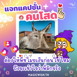 แคปชั่นคนโสด 💋😆✨💜💜 ..และขอแนะนำกำไลเสริมดวงจี้ไพ่ทาโร่ต์จาก MagicWish