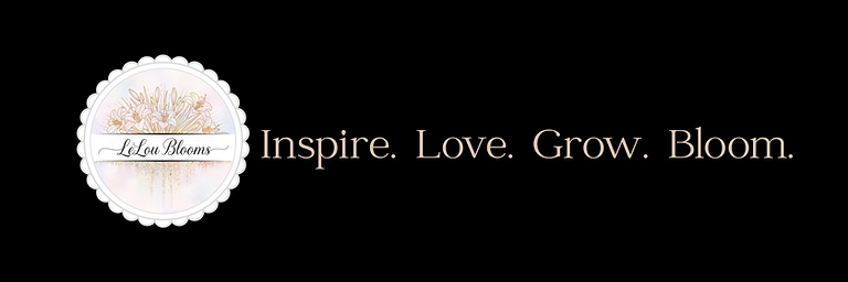 Website Header w Logo BLACK.png