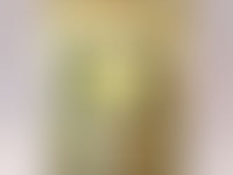 放棄茶畑再生プロジェクト打ち合わせ